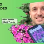 Una aplicación para detectar plagas y enfermedades de las plantas
