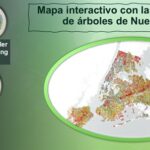 Un mapa interactivo... que registra 1 millón 800 mil árboles de NY: U. de Cornell