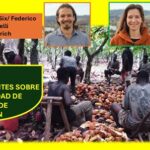 Detectan inconsistencias para cumplir normas europeas sobre el cacao: ETH Zurich