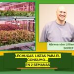 Hortalizas: cultivo automatizado.. y cosechas en dos semanas: SINTEF/ Noruega