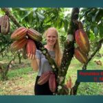 Descubren origen de sabores extraños.. del chocolate: U. Tech de Munich