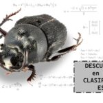 Antiguo modelo utilizado para clasificar especies .. lleva a conclusiones erróneas: U. de Helsinki