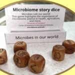 Un juego para imaginar la interacción de los microbios a nivel humano y ambiental: U. de Maryland