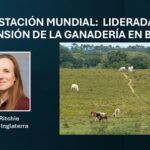 Consumo de carne en Brasil.. impulsa el ritmo de la deforestación, a nivel mundial: OWID