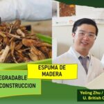 Universidad y comunidad indígena emprenden proyecto para aprovechar los residuos de madera: UBC