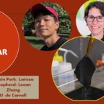 Lana teñida para hacer potable el agua salada: U. de Cornell