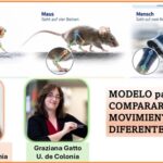 Comparando patrones de movimiento.. de diferentes especies: Centro Jülich