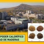 Prueban residuos de madera..en sistemas de calefacción: U. Federal de Siberia