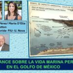 Derrame de petróleo redujo en un 60% población pesquera, en el Golfo de México: U. FIU/ Nova