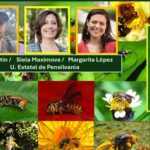Minucioso censo de las abejas de Colombia: U. Estatal de Pensilvania