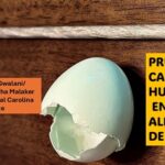Utilizan la cáscara de huevo..en la fabricación de metales especiales: U. Estatal Carolina del Norte
